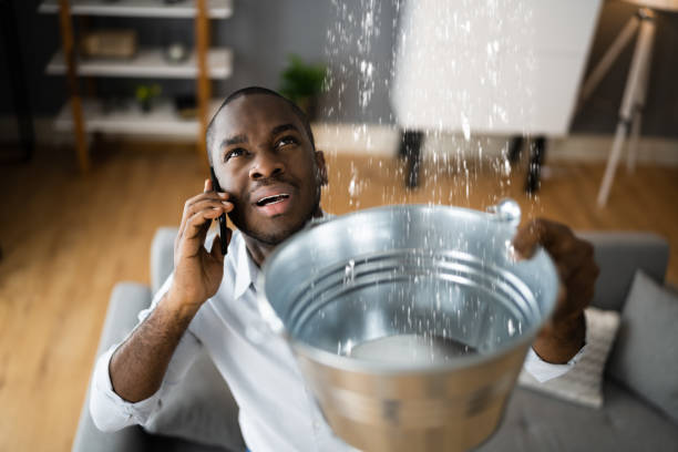 Best Carpet water damage restoration  in Shell Kno, MO